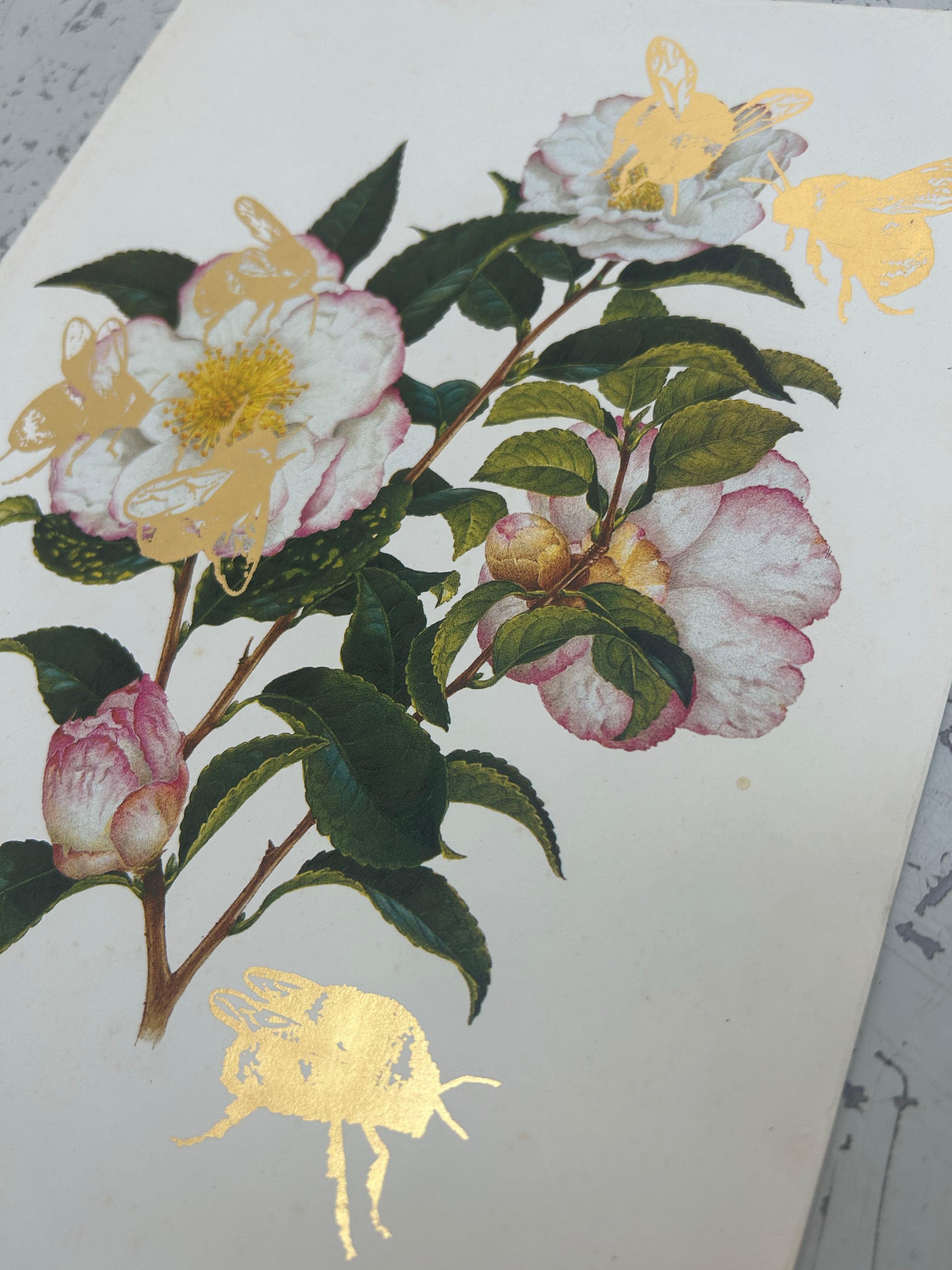 MORE BEES PLEASE (DROP 2) #11
