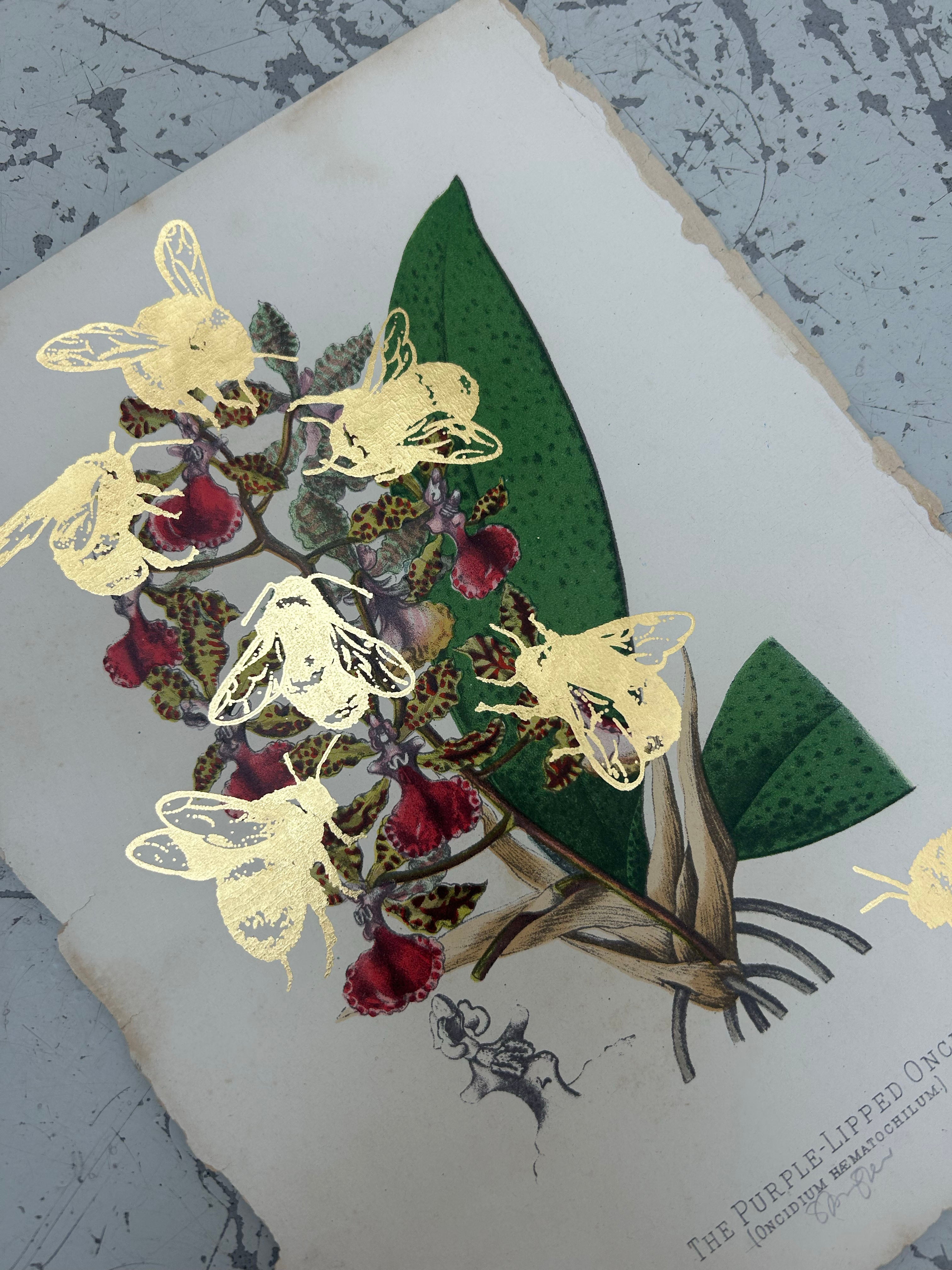 MORE BEES PLEASE (DROP 2) #12